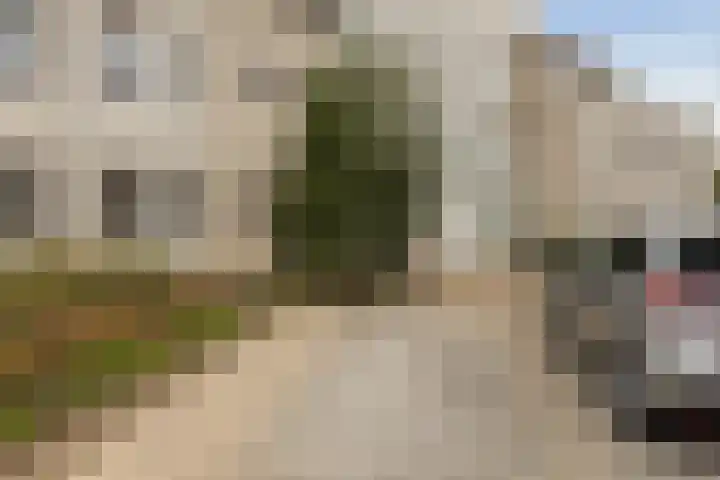 Holsberg 75 Urmond thumbnail 7