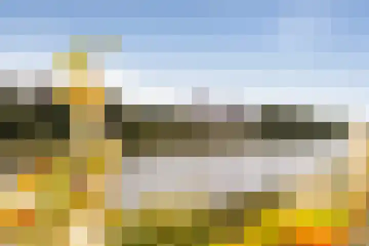 Holsberg 75 Urmond thumbnail 8