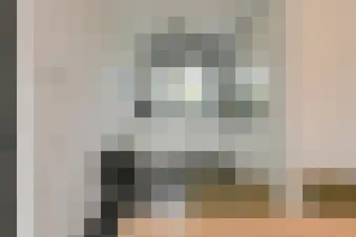 Holsteinpad 34 Teteringen thumbnail 10