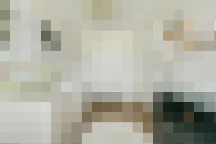 Holsteinpad 34 Teteringen thumbnail 24