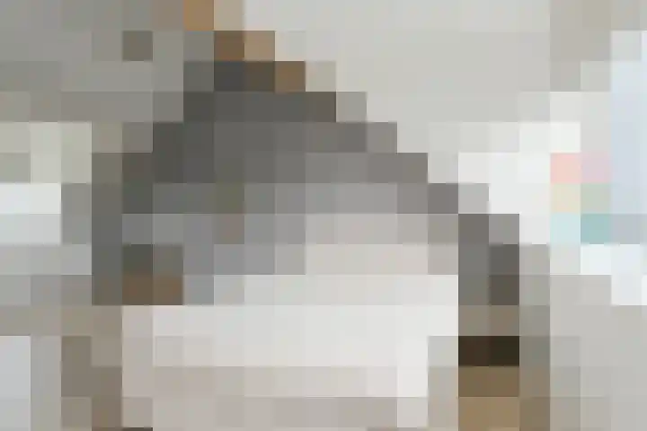 Holsteinpad 34 Teteringen thumbnail 29