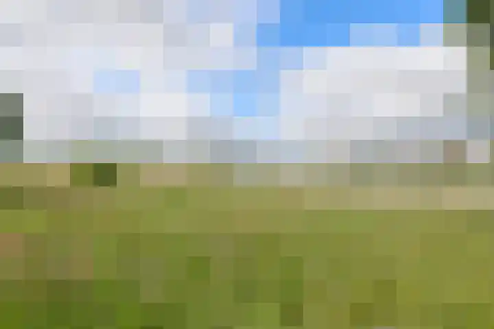 Holsteinpad 34 Teteringen thumbnail 40