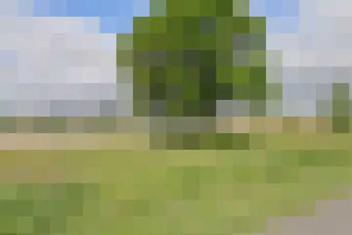 Holsteinpad 34 Teteringen thumbnail 41