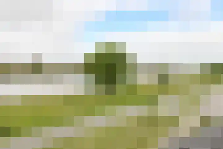 Holsteinpad 34 Teteringen thumbnail 42