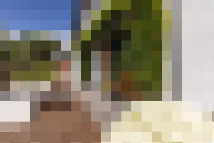 Holsterbeek 36 Geleen thumbnail 12