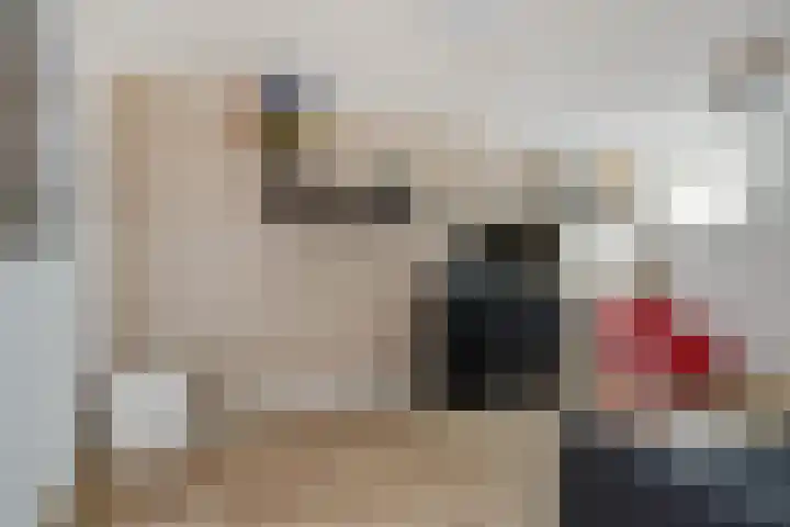 Holsterbeek 36 Geleen thumbnail 35