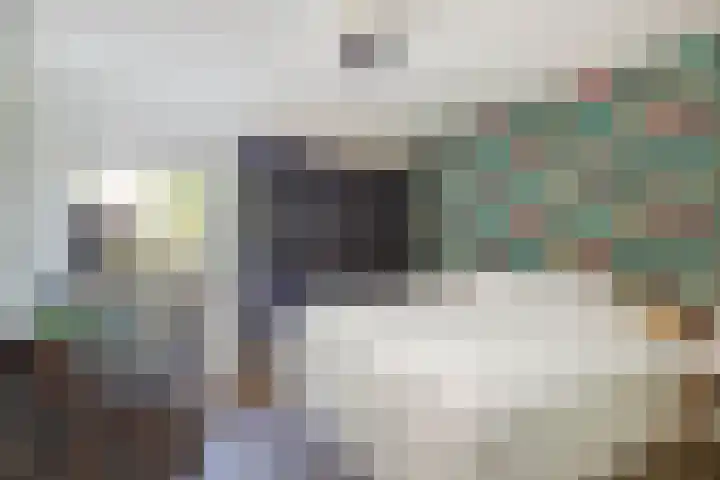 Holsterbeek 5 Geleen thumbnail 4