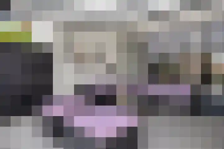 Holtackers 10 Emmen thumbnail 23