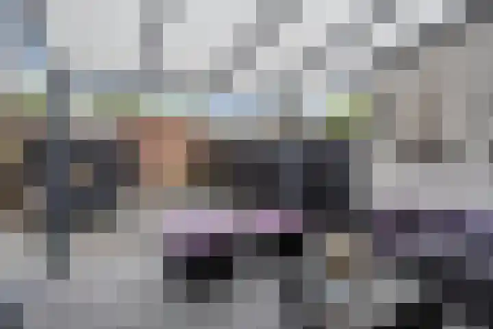 Holtackers 10 Emmen thumbnail 24