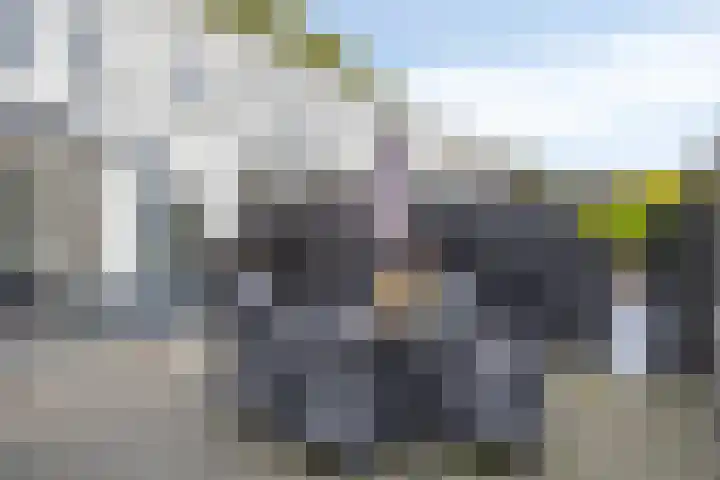 Holtackers 10 Emmen thumbnail 27
