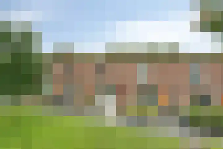 Holtackers 10 Emmen thumbnail 37