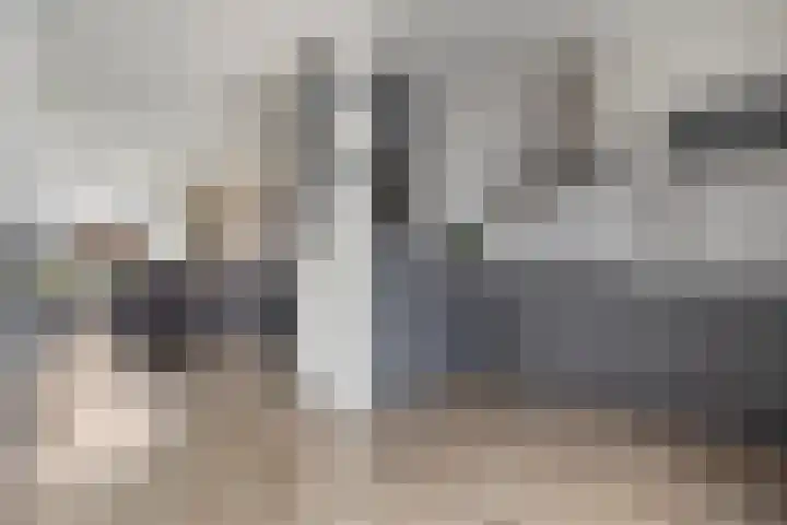 Holtackers 10 Emmen thumbnail 8