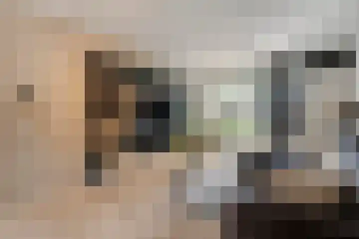 Holtackers 8 Emmen thumbnail 10