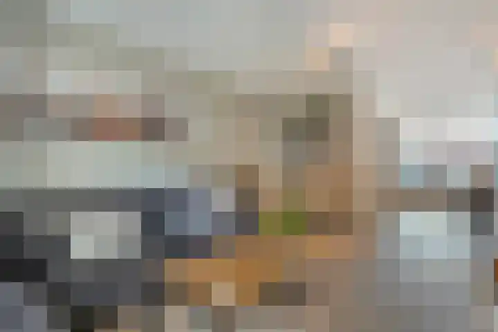 Holtackers 8 Emmen thumbnail 12