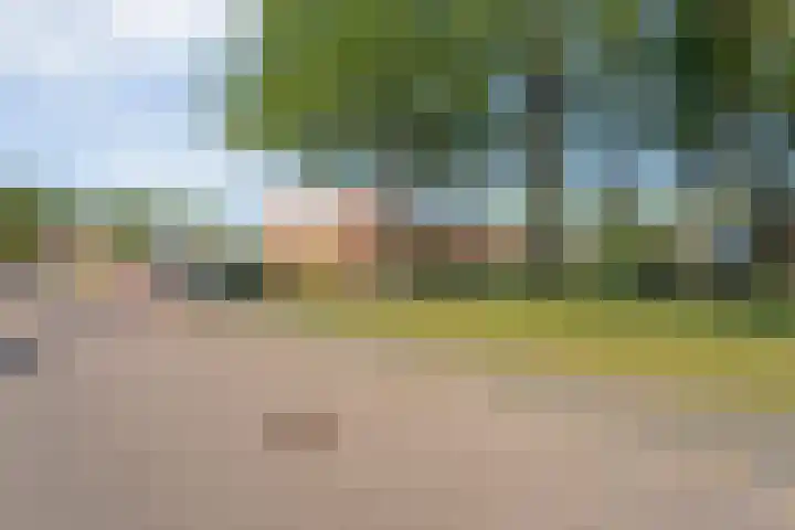 Holtackers 8 Emmen foto 2