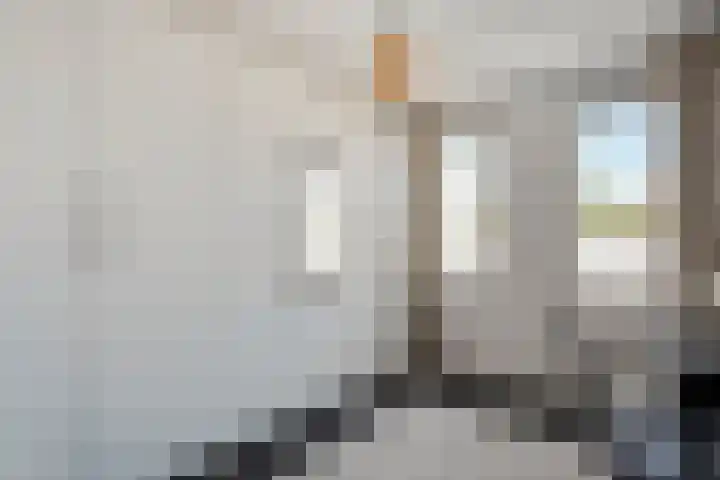 Holtackers 8 Emmen thumbnail 24
