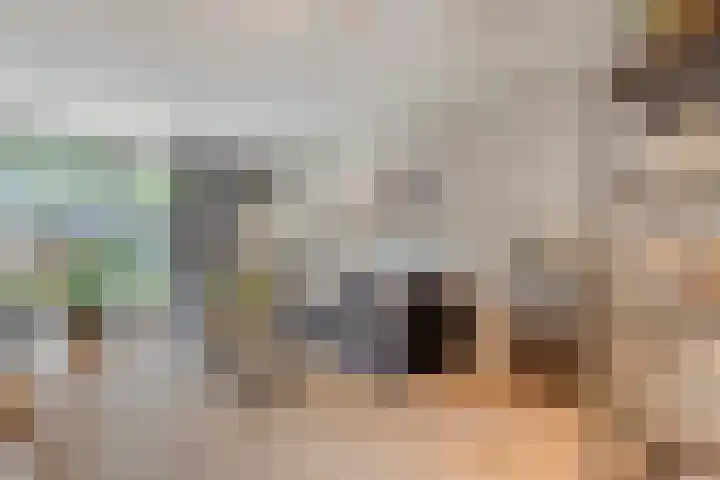 Holtackers 8 Emmen thumbnail 9
