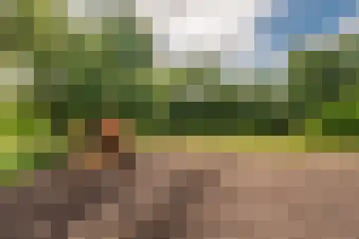 Holte 50 Onstwedde thumbnail 12