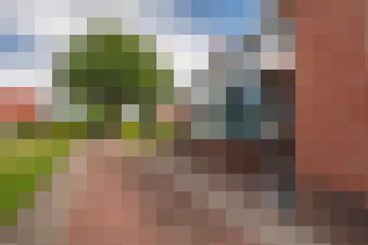Holte 50 Onstwedde thumbnail 14