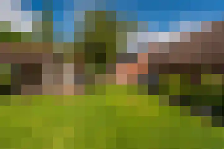 Holte 50 Onstwedde thumbnail 7