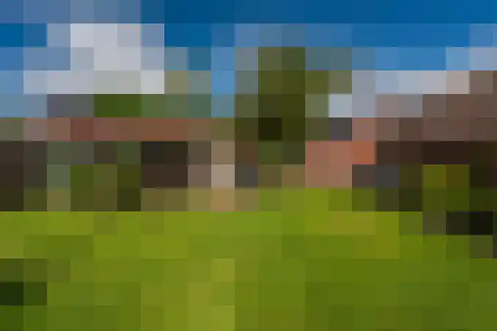 Holte 50 Onstwedde thumbnail 8