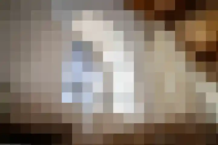 Holterweg 20 Deventer thumbnail 13