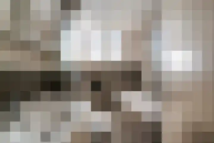 Holterweg 20 Deventer thumbnail 4