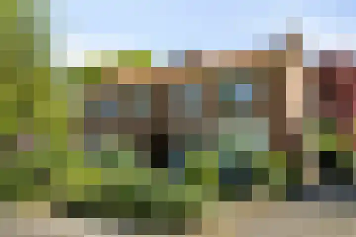 Holterweg 92 Colmschate