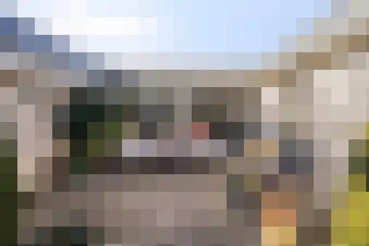 Holthuizenbrink 11 Enschede thumbnail 34