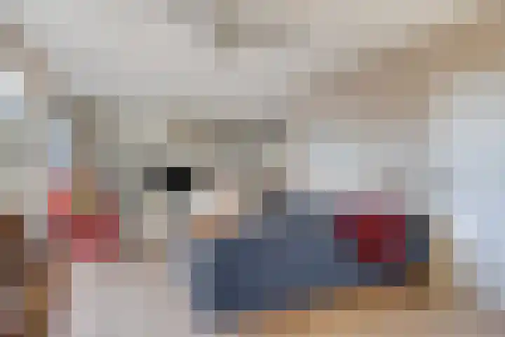 Holthuizenbrink 11 Enschede thumbnail 8