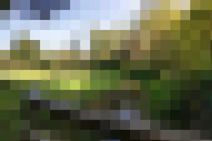Holthuizenbrink 42 Enschede thumbnail 30