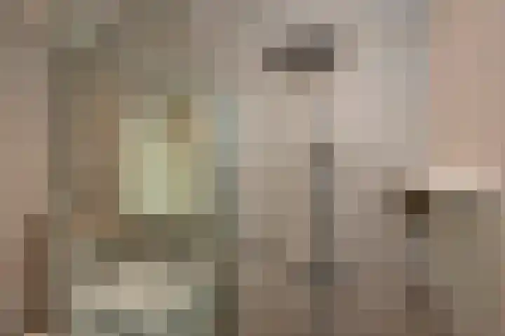 Holthuizenbrink 9 Enschede thumbnail 22