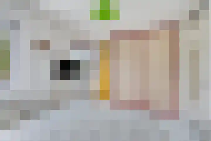 Holthuizerdreef 29 Huissen thumbnail 17