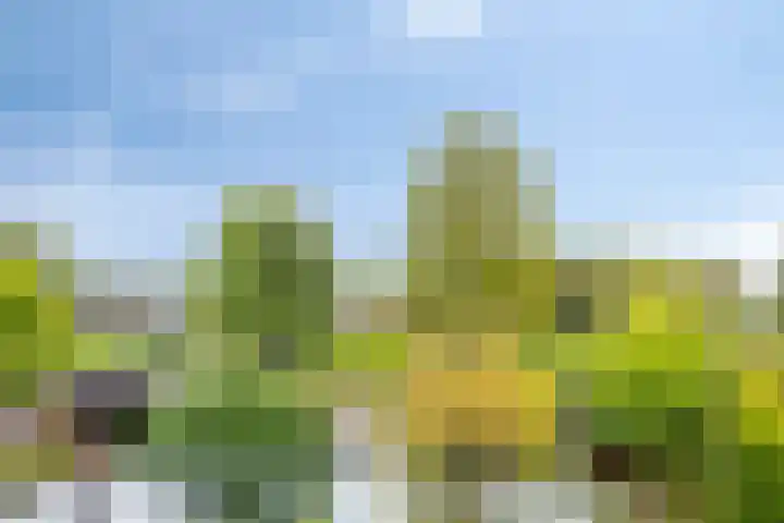Holthuizerdreef 29 Huissen thumbnail 18