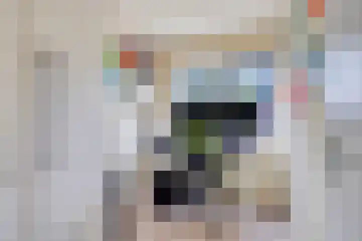 Holthuizerdreef 29 Huissen thumbnail 24