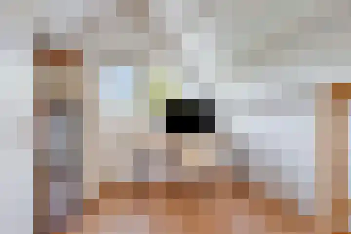 Holthuizerdreef 29 Huissen thumbnail 28