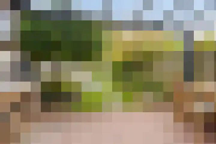 Holthuizerdreef 29 Huissen thumbnail 29