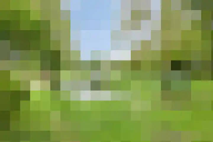 Holthuizerdreef 29 Huissen thumbnail 37
