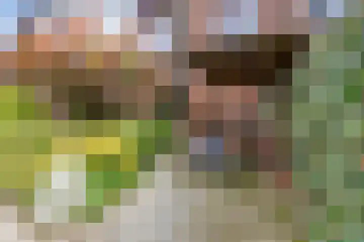 Holthuizerdreef 29 Huissen thumbnail 4