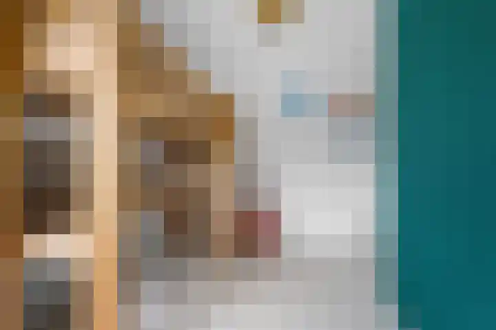 Holthuizerdreef 3 Huissen thumbnail 28