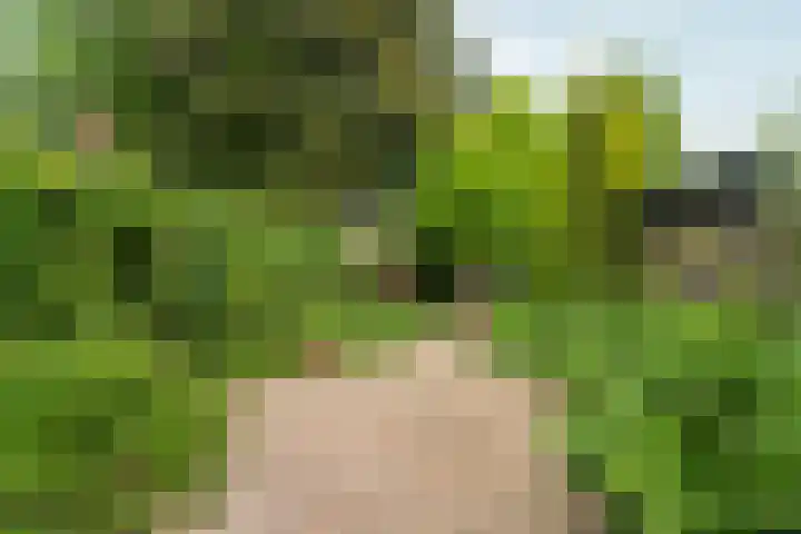Holthuizerdreef 3 Huissen thumbnail 42
