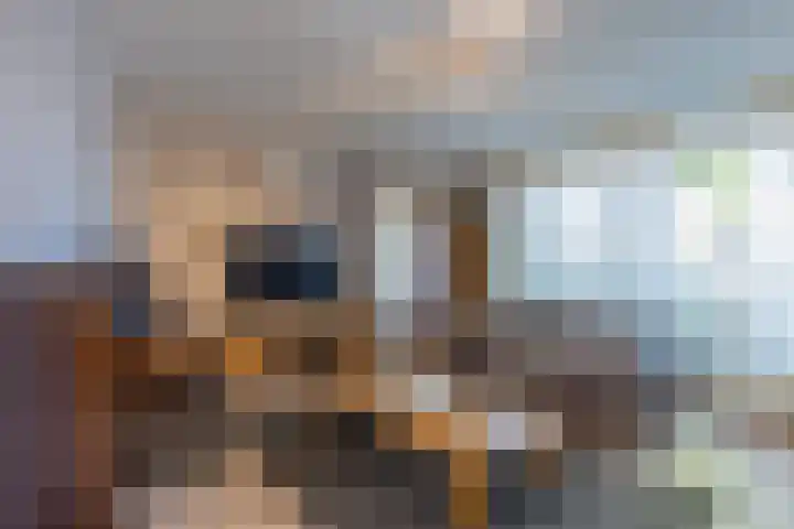 Holthuysenweg 14 Echt thumbnail 17