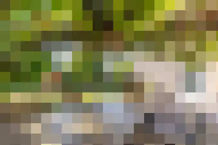 Holthuysenweg 14 Echt thumbnail 21