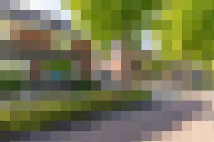 Holthuysenweg 14 Echt foto 3