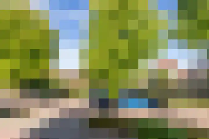Holthuysenweg 14 Echt thumbnail 32
