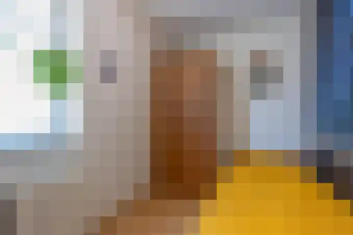 Holthuysenweg 14 Echt thumbnail 36