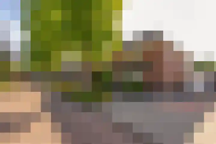 Holthuysenweg 14 Echt thumbnail 4