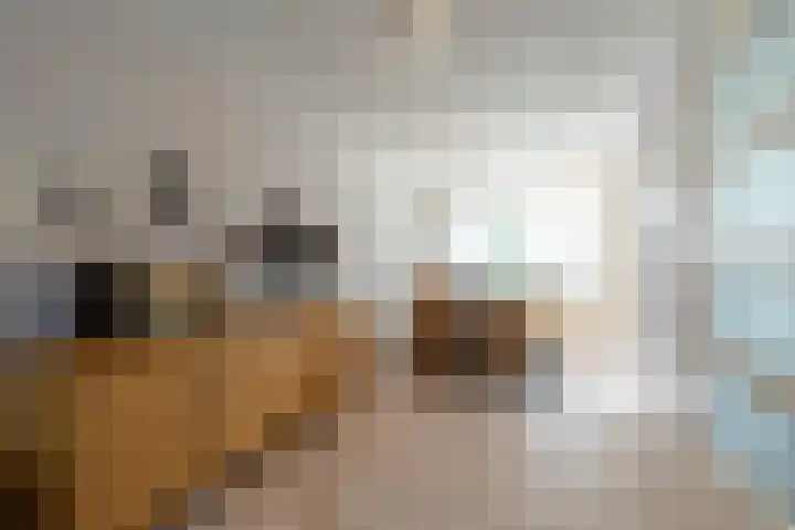 Holthuysenweg 14 Echt thumbnail 9