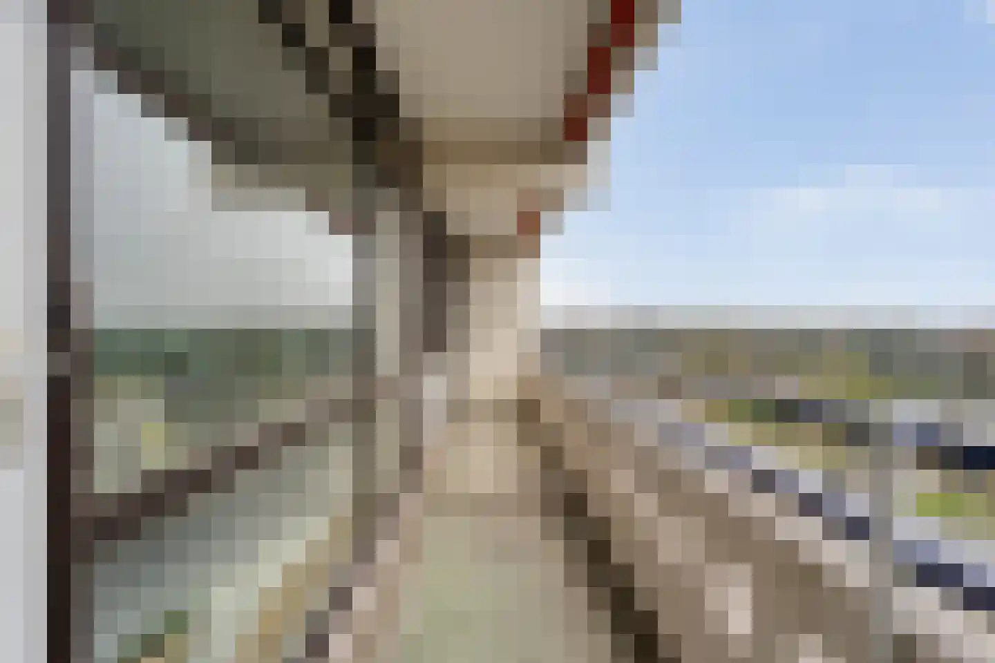 Holtlaan 113 Emmen thumbnail 30