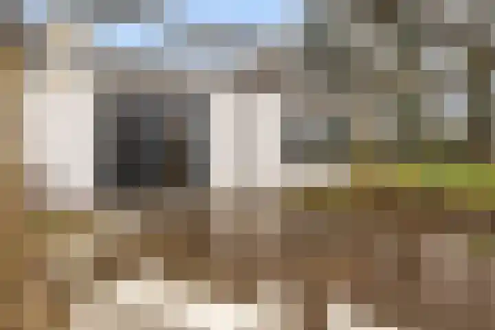 Holtlaan 283 Emmen thumbnail 42